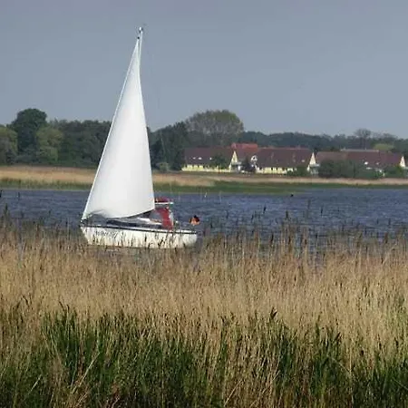 Residenz Bellevue Usedom 52 Dsl Wlan Kostenlos * Zinnowitz