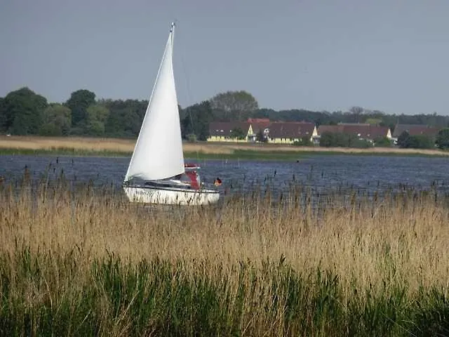 Residenz Bellevue Usedom 52 Dsl Wlan Kostenlos * Zinnowitz
