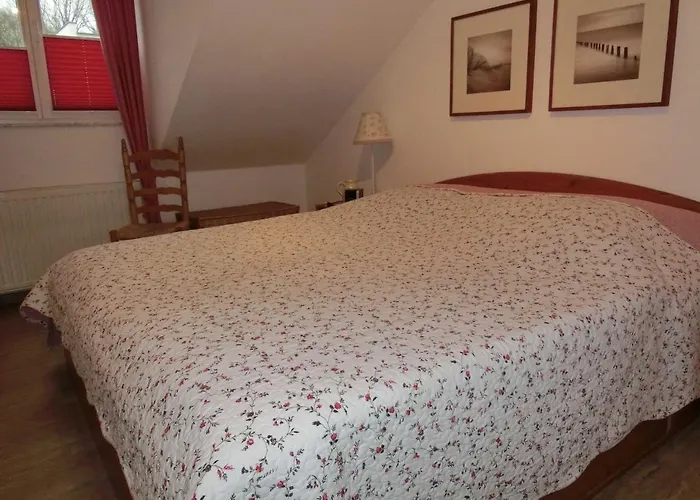 Residenz Bellevue Usedom 52 Dsl Wlan Kostenlos Apartment Zinnowitz